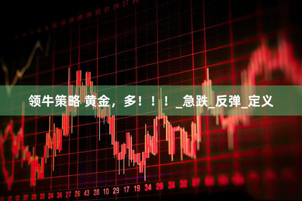 领牛策略 黄金，多！！！_急跌_反弹_定义