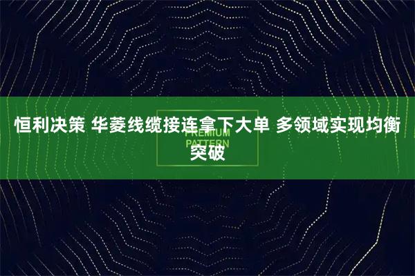 恒利决策 华菱线缆接连拿下大单 多领域实现均衡突破